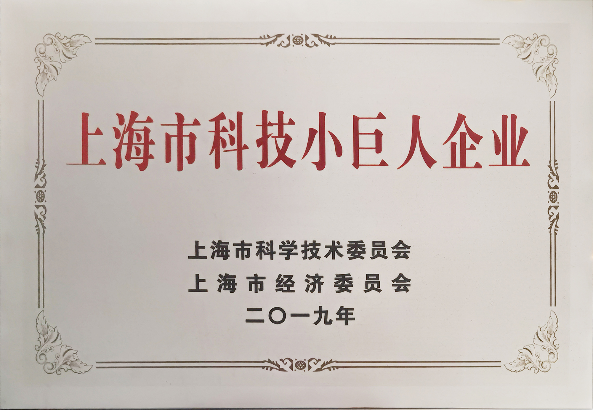 上海市科技小巨人企業